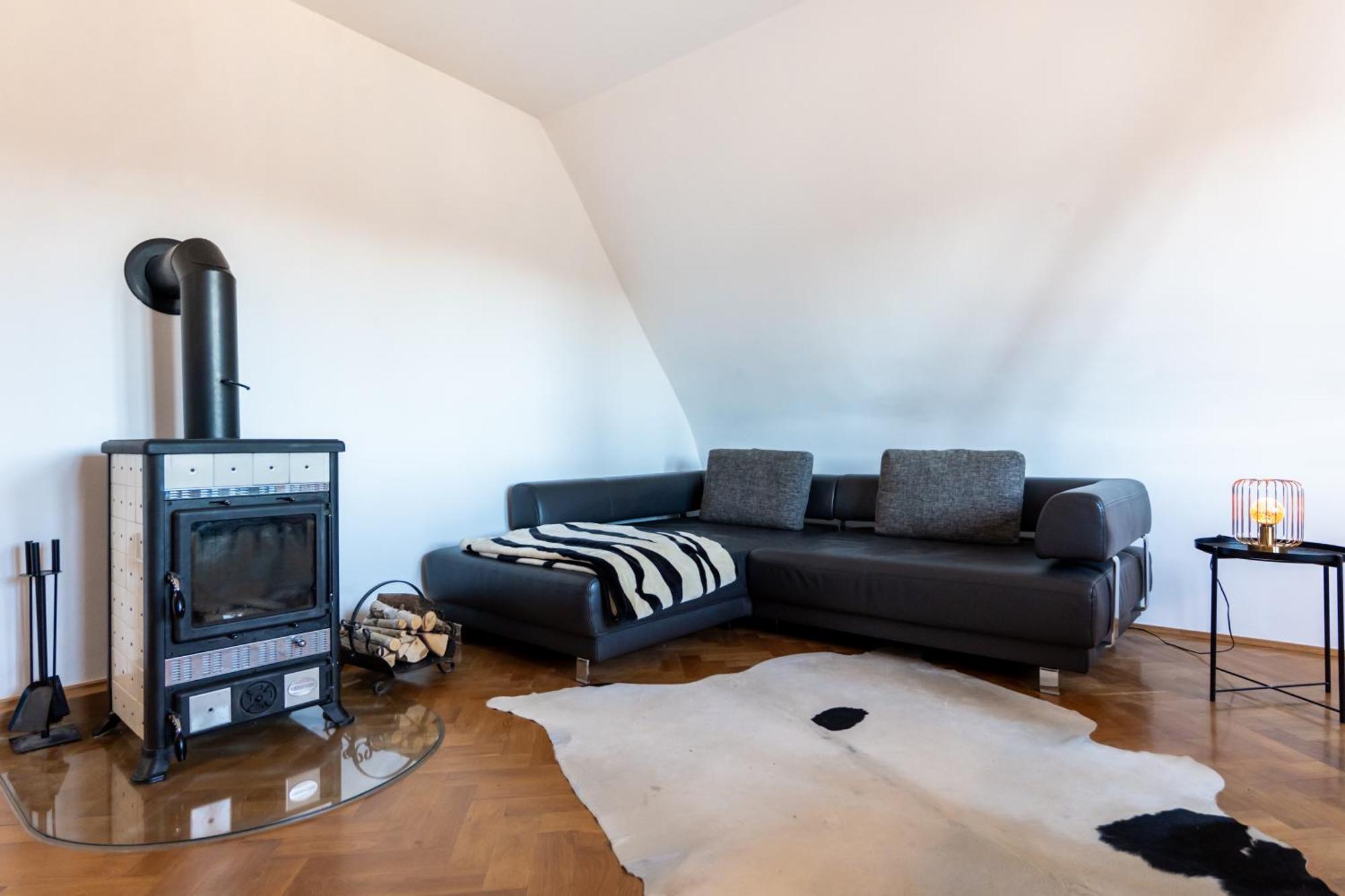 Doppelhaus- Villa Leipzig Schleussig , Moderner Altbau Apartment Dachetage Mit 2 Schlafzimmern Und Separatem Zusatzzimmer , Parkplatz - Balkon - Kamin - Eicheparkett - Arbeitsplatz Ngoại thất bức ảnh